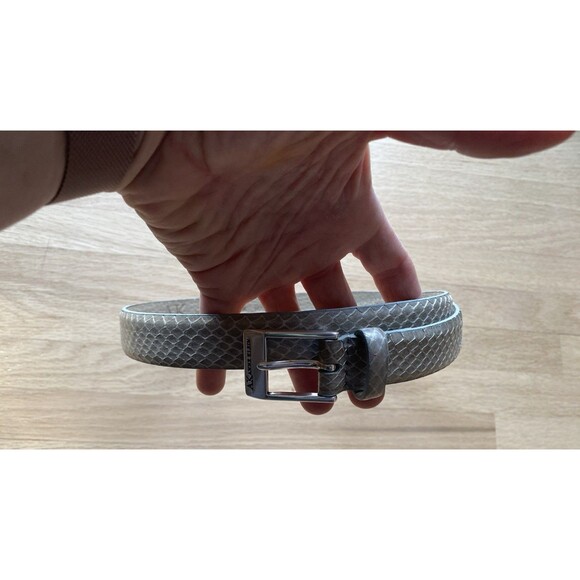 Anne Klein Crocodile Gray Embossed Leather Belt Silver Buckle Medium - Picture 1 of 5